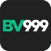 BV999 Game